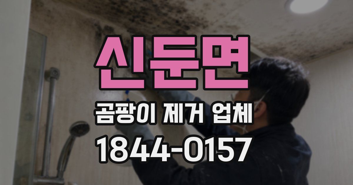 신둔면 곰팡이 제거 업체