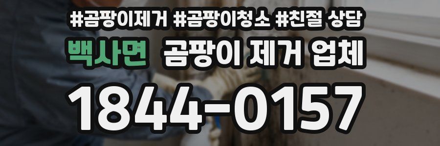 백사면 곰팡이 제거 업체