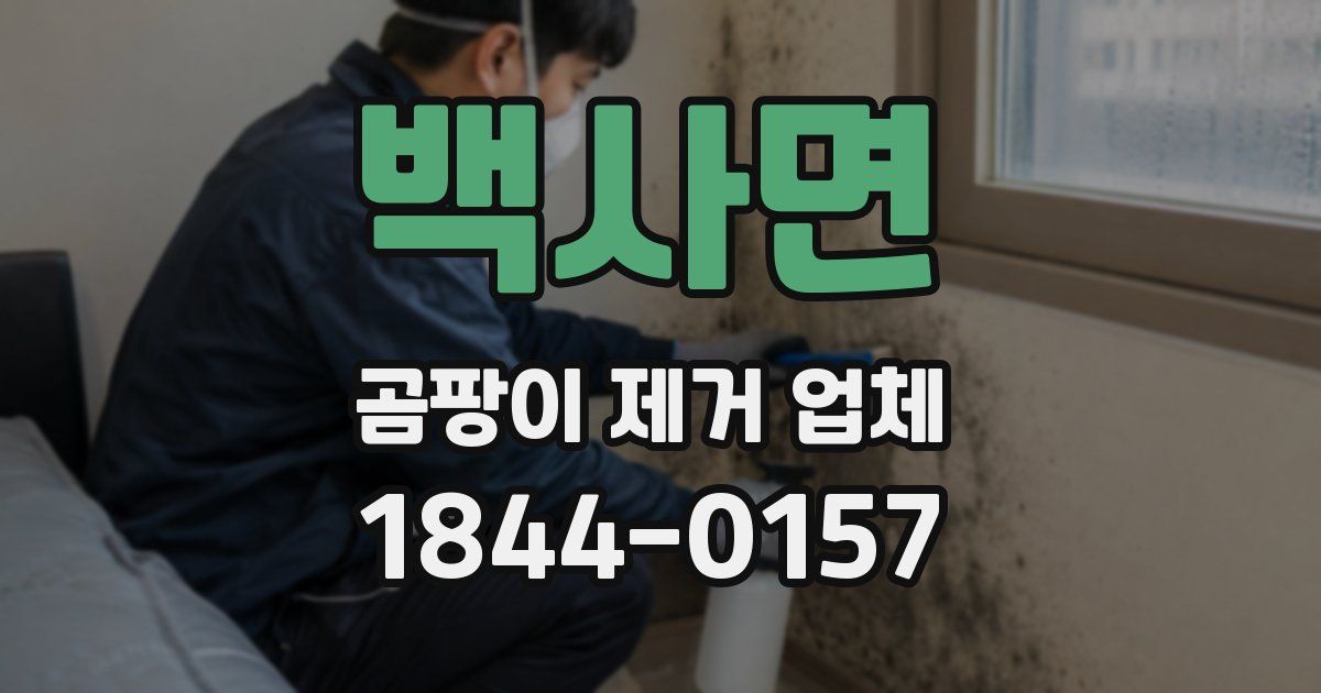 백사면 곰팡이 제거 업체