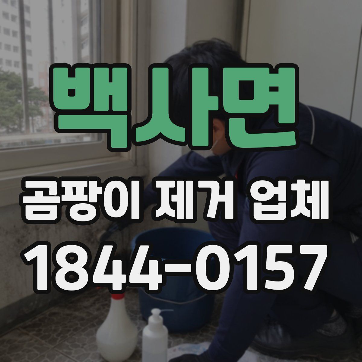 백사면 곰팡이 제거 업체