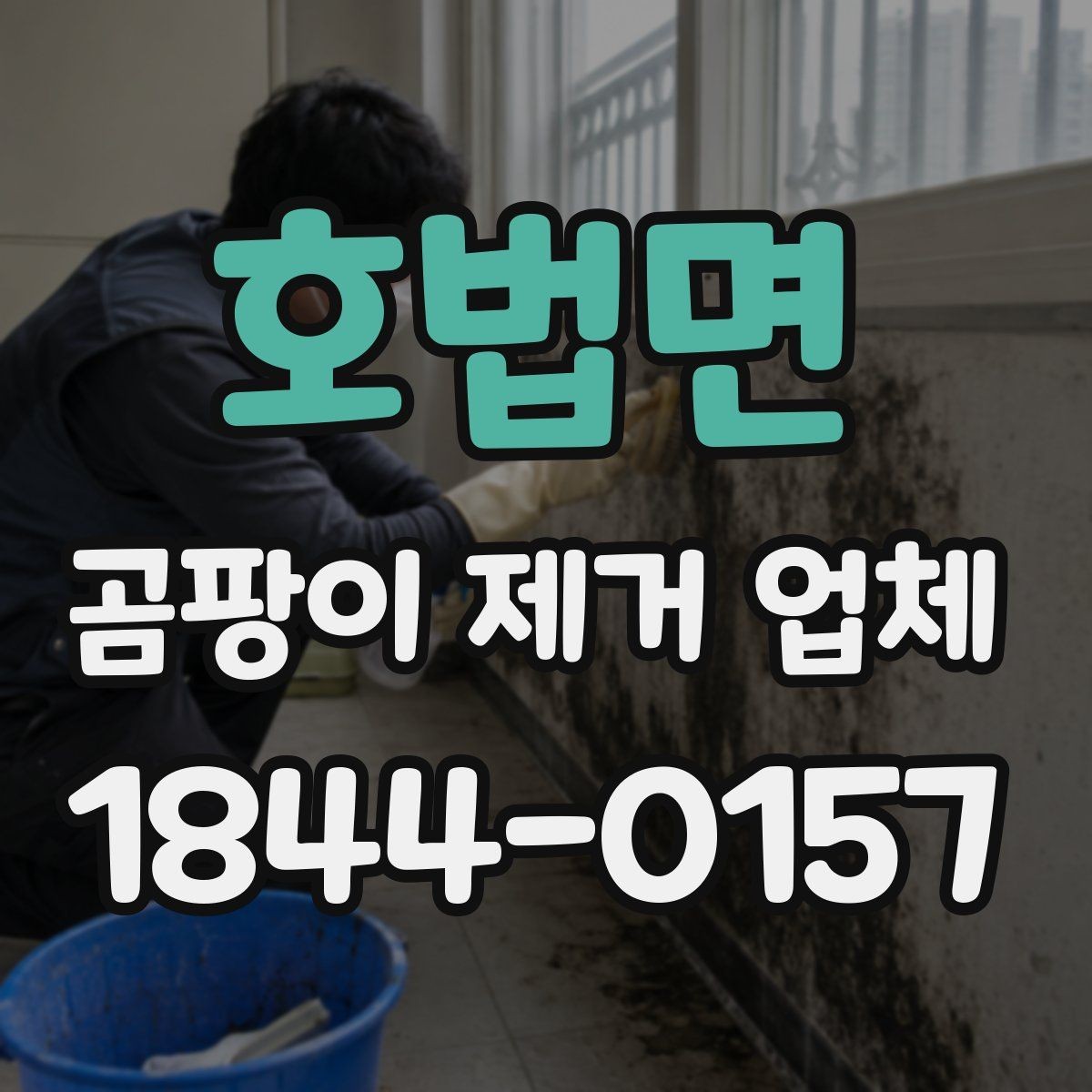 호법면 곰팡이 제거 업체 관련 자주 하는 오해와 실제