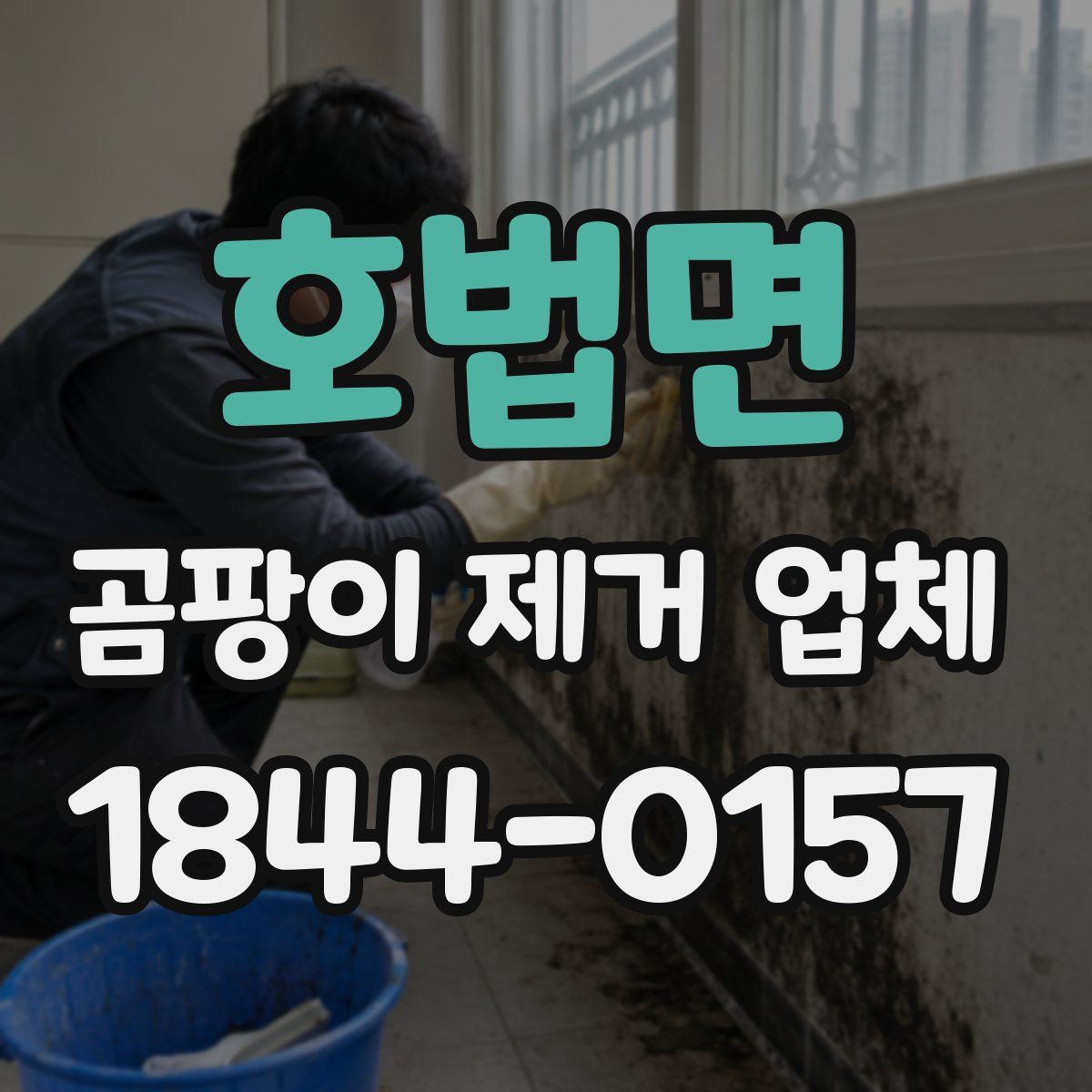 호법면 곰팡이 제거 업체