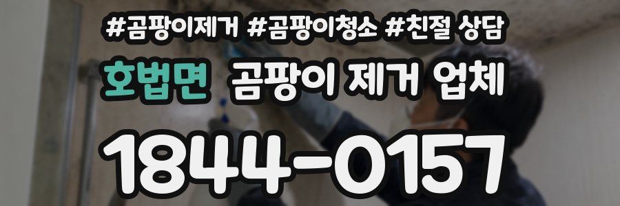 호법면 곰팡이 제거 업체