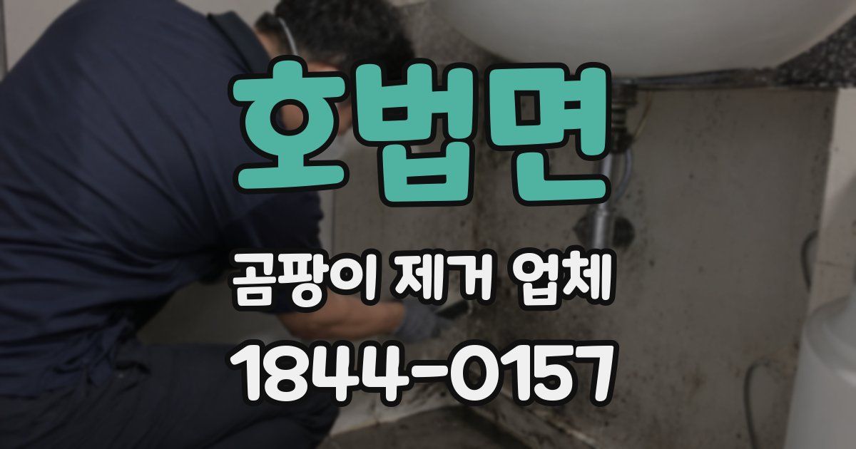 호법면 곰팡이 제거 업체