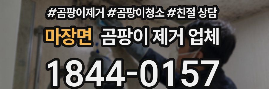 마장면 곰팡이 제거 업체