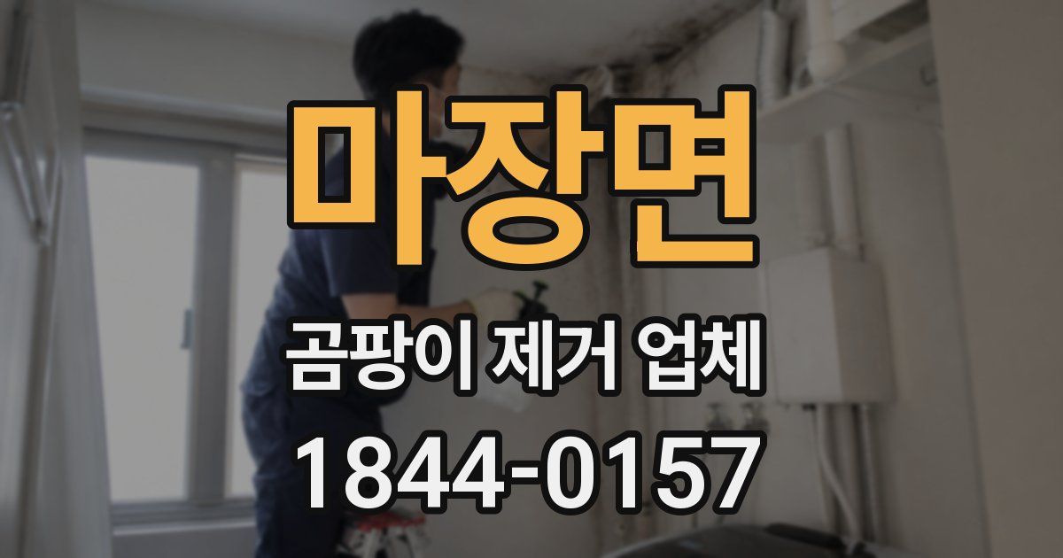 마장면 곰팡이 제거 업체