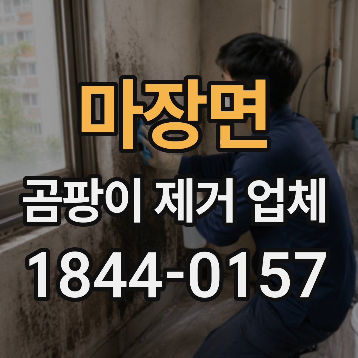 마장면 곰팡이 제거 업체