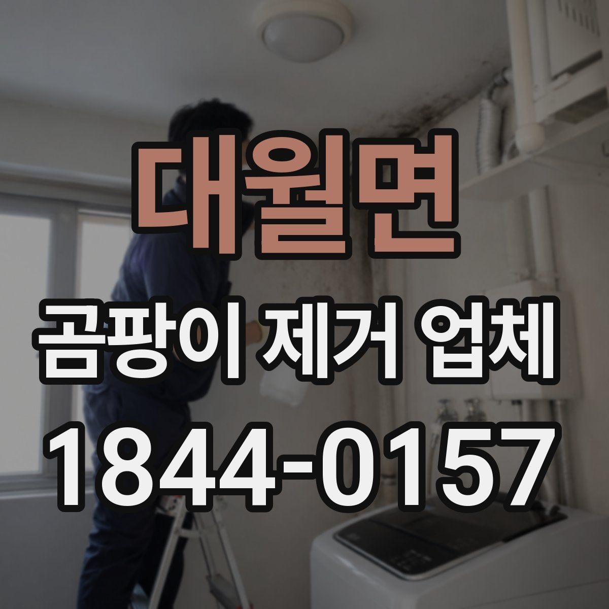 대월면 곰팡이 제거 업체 선택 전 자주 확인하는 질문