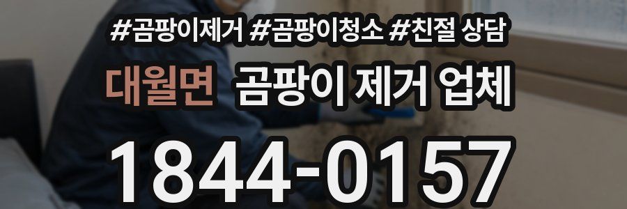 대월면 곰팡이 제거 업체