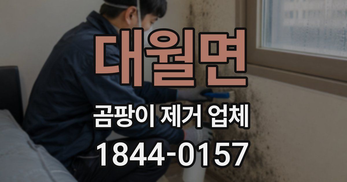 대월면 곰팡이 제거 업체