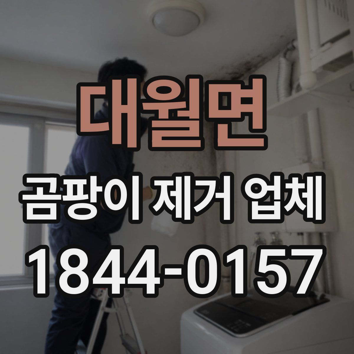 대월면 곰팡이 제거 업체
