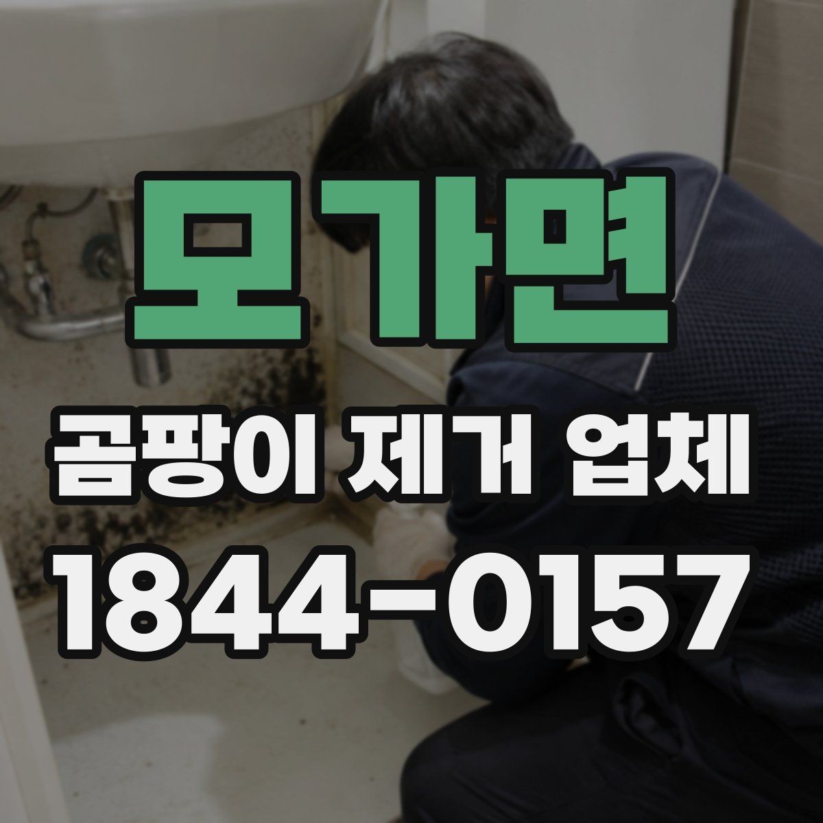 모가면 곰팡이 제거 업체 이용 전 알아두면 좋은 정보