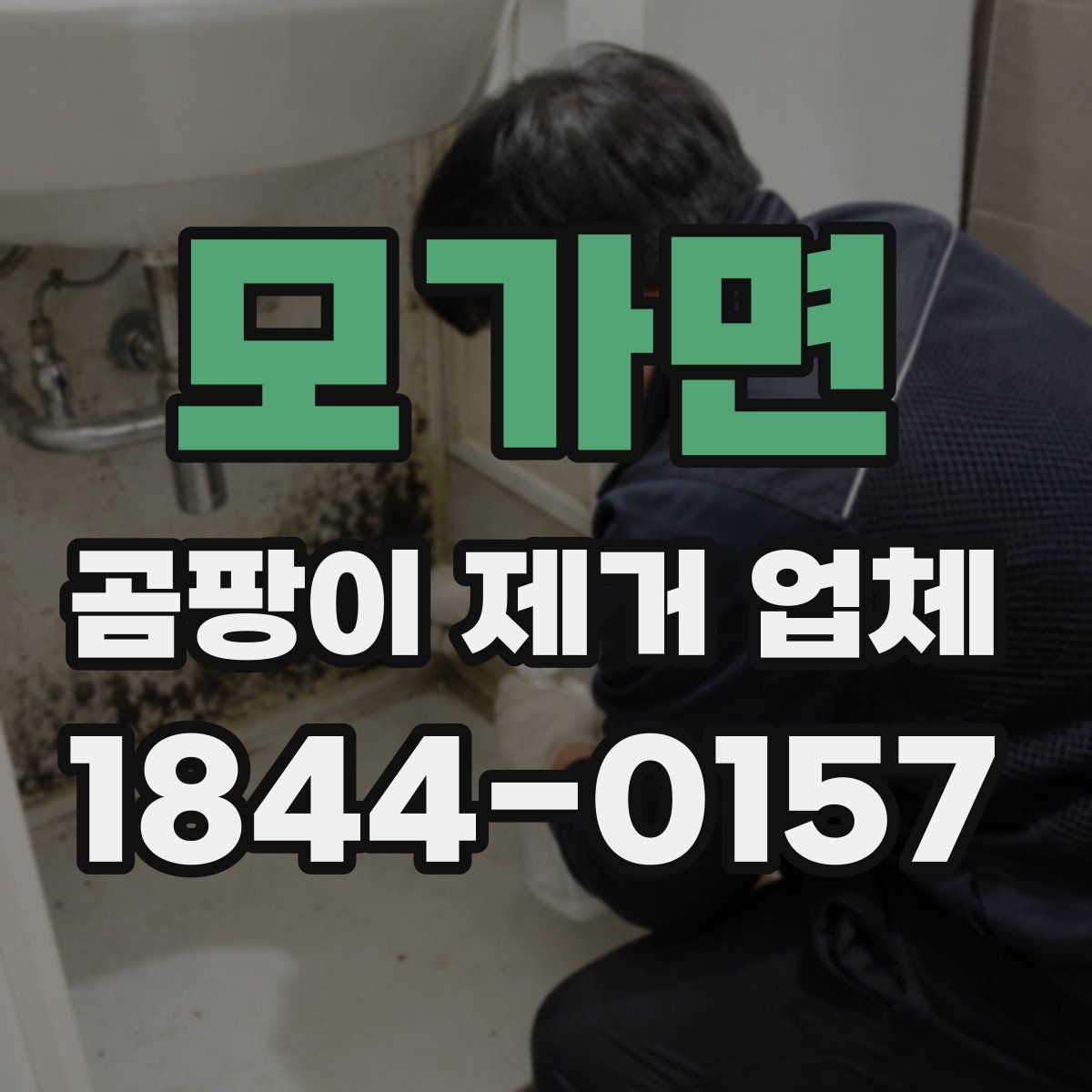 모가면 곰팡이 제거 업체