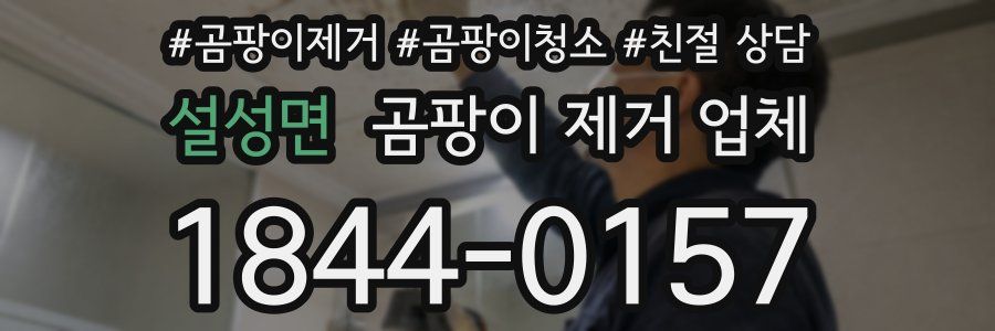 설성면 곰팡이 제거 업체