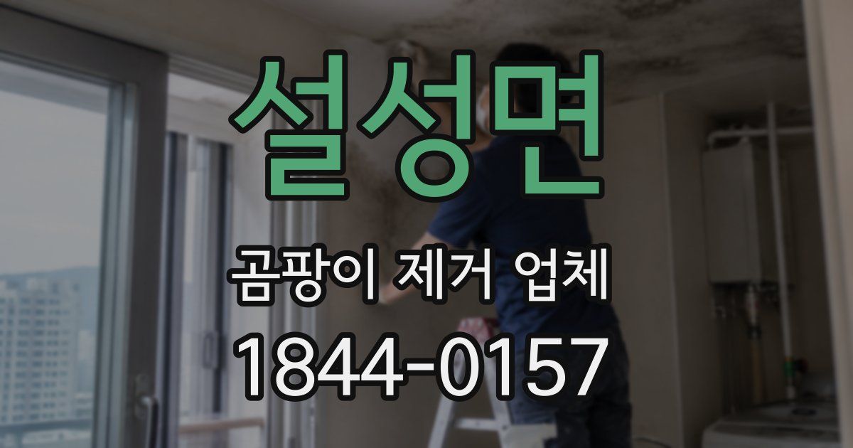 설성면 곰팡이 제거 업체