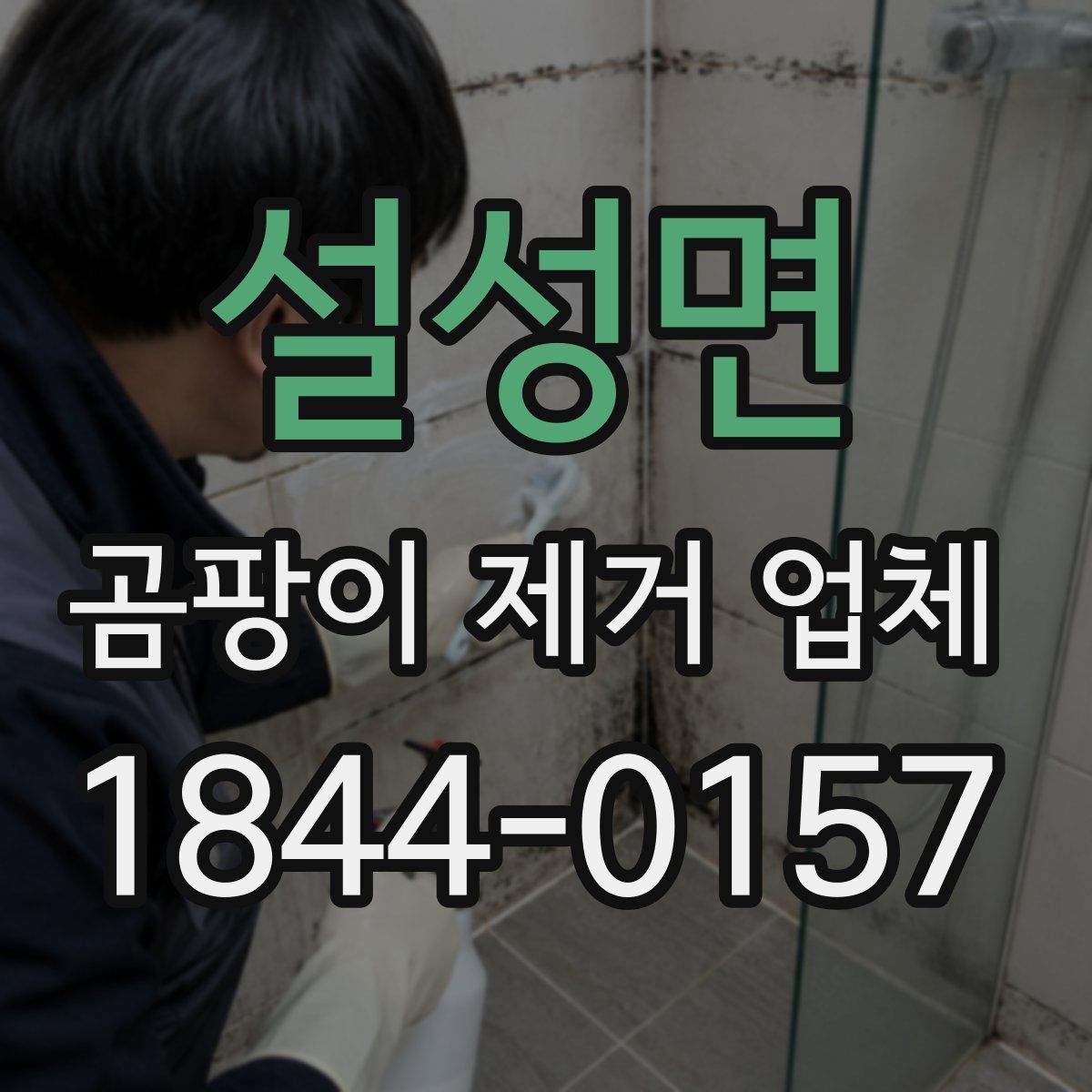 설성면 곰팡이 제거 업체