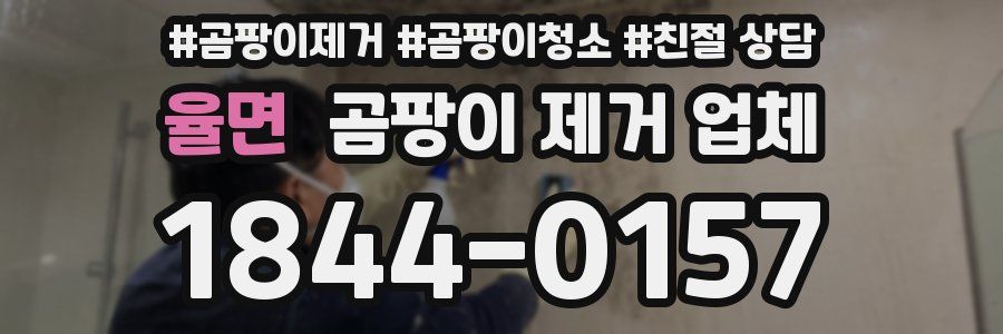 율면 곰팡이 제거 업체