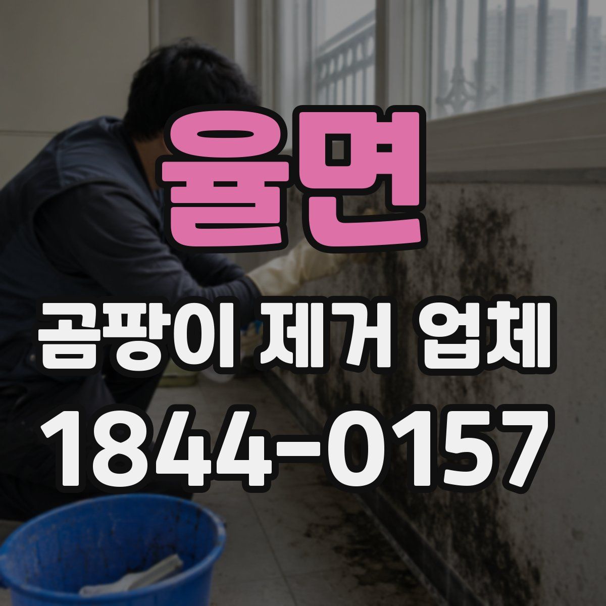 율면 곰팡이 제거 업체