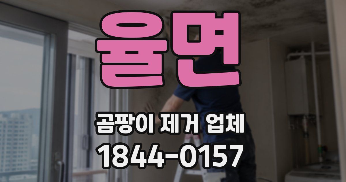 율면 곰팡이 제거 업체