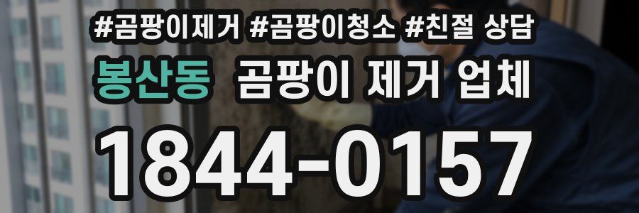 봉산동 곰팡이 제거 업체