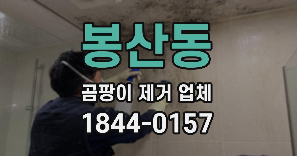 봉산동 곰팡이 제거 업체
