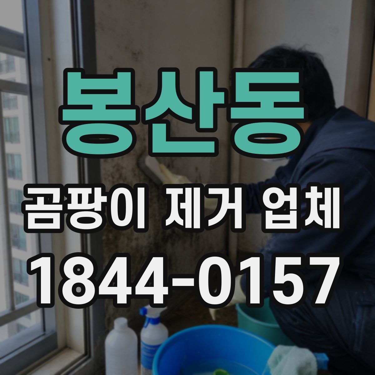 봉산동 곰팡이 제거 업체