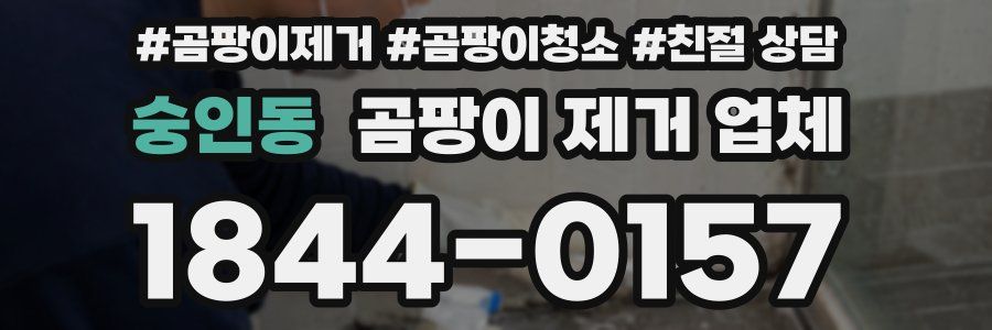 숭인동 곰팡이 제거 업체