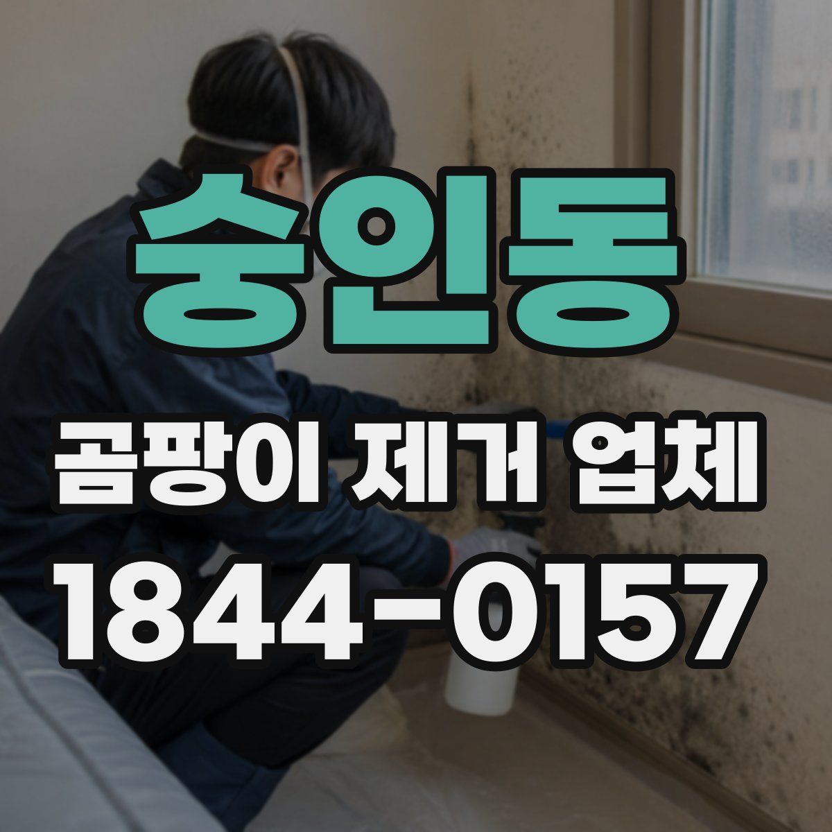 숭인동 곰팡이 제거 업체
