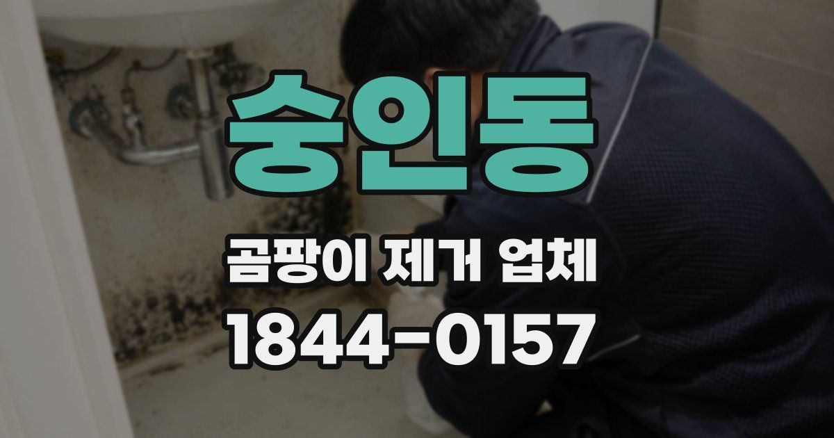 숭인동 곰팡이 제거 업체
