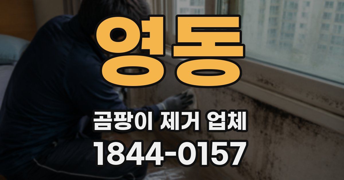 영동 곰팡이 제거 업체