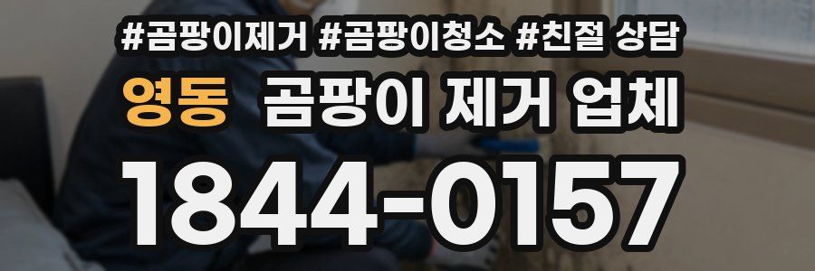 영동 곰팡이 제거 업체