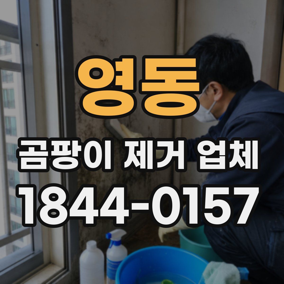 영동 곰팡이 제거 업체