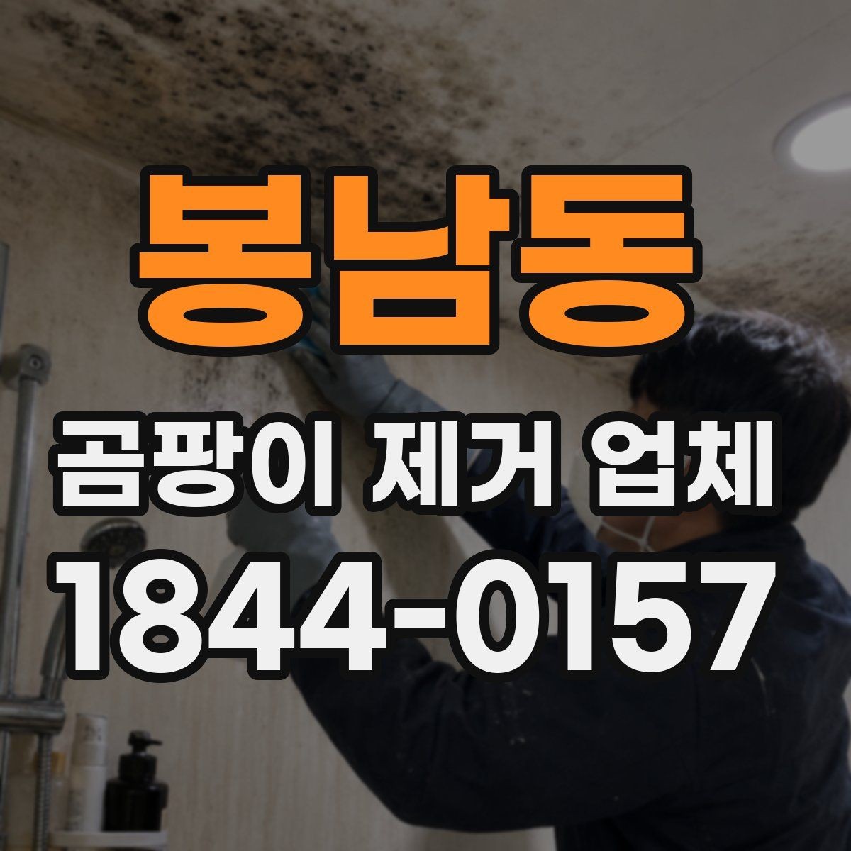 봉남동 곰팡이 제거 업체 선정 시 주의할 점