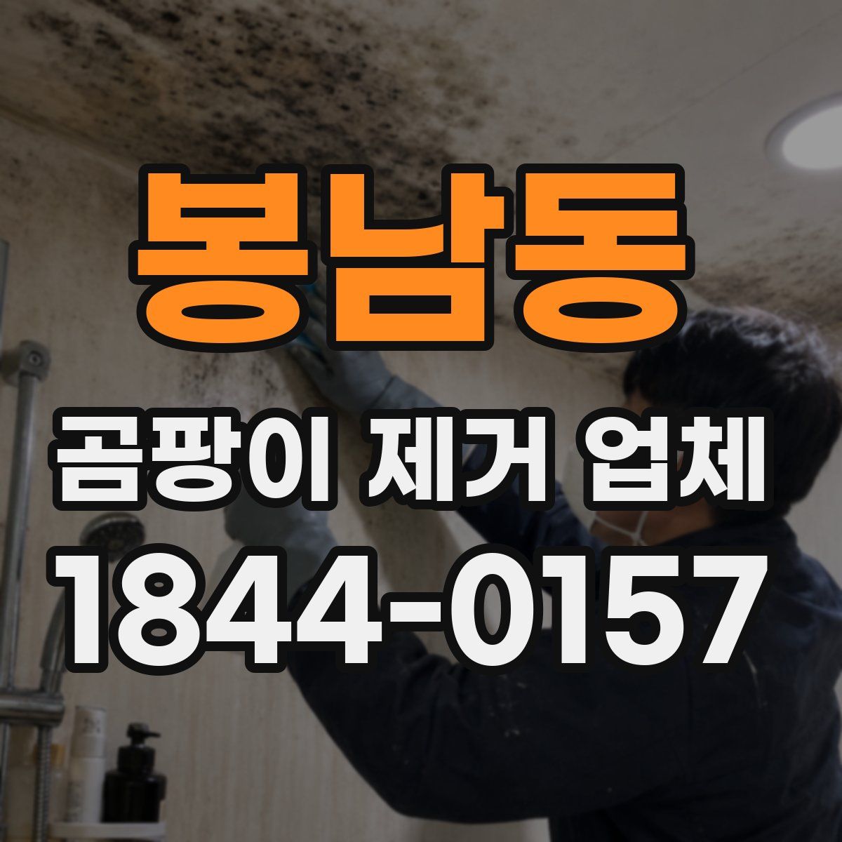 봉남동 곰팡이 제거 업체