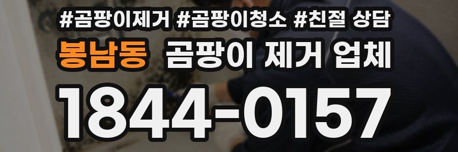 봉남동 곰팡이 제거 업체