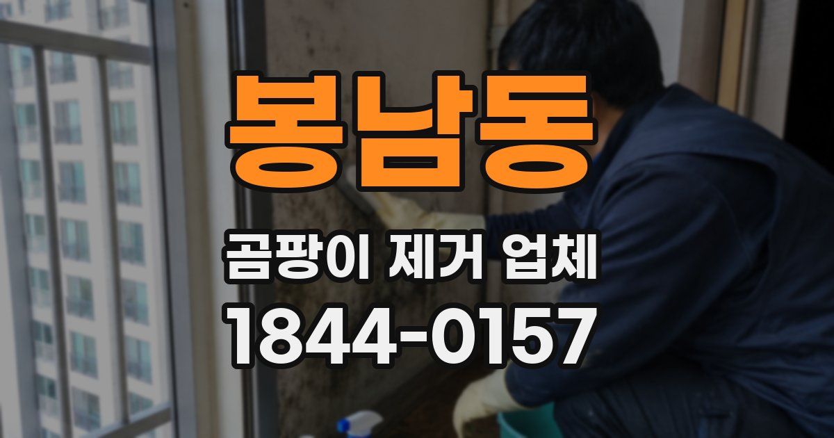 봉남동 곰팡이 제거 업체