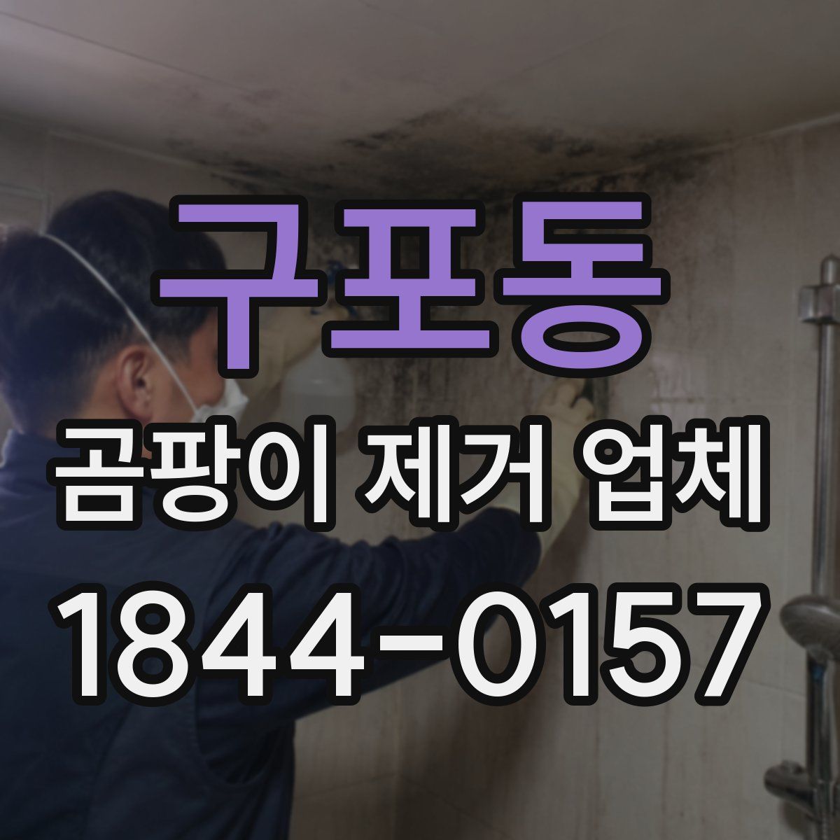 구포동 곰팡이 제거 업체