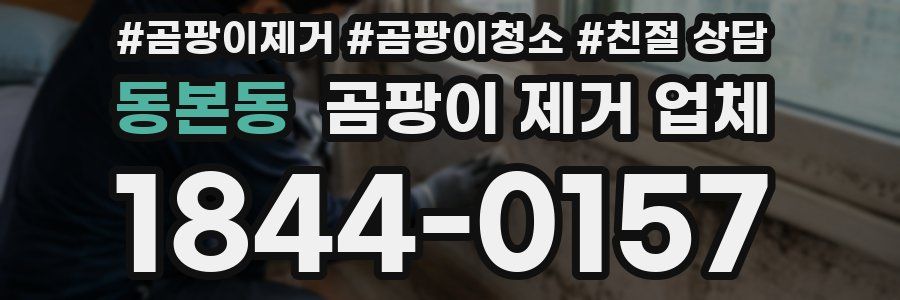 동본동 곰팡이 제거 업체