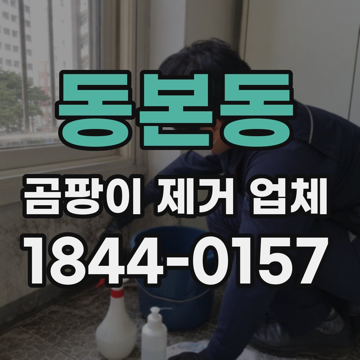 동본동 곰팡이 제거 업체