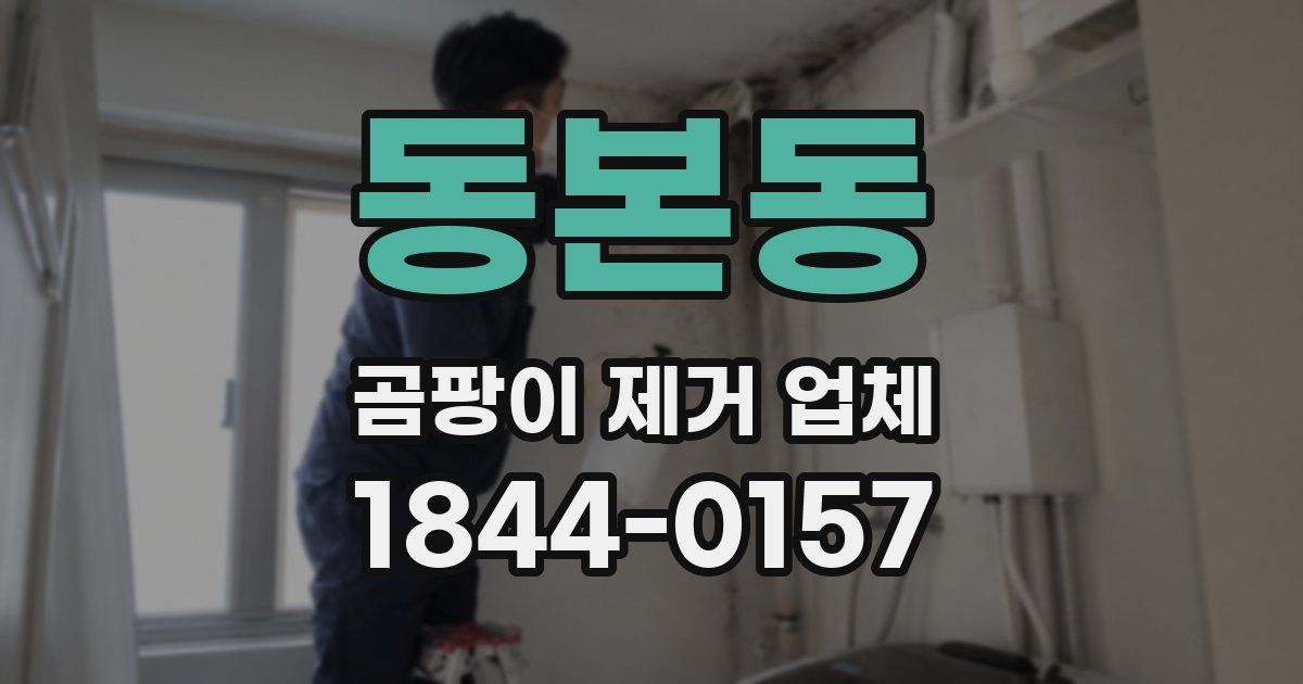동본동 곰팡이 제거 업체