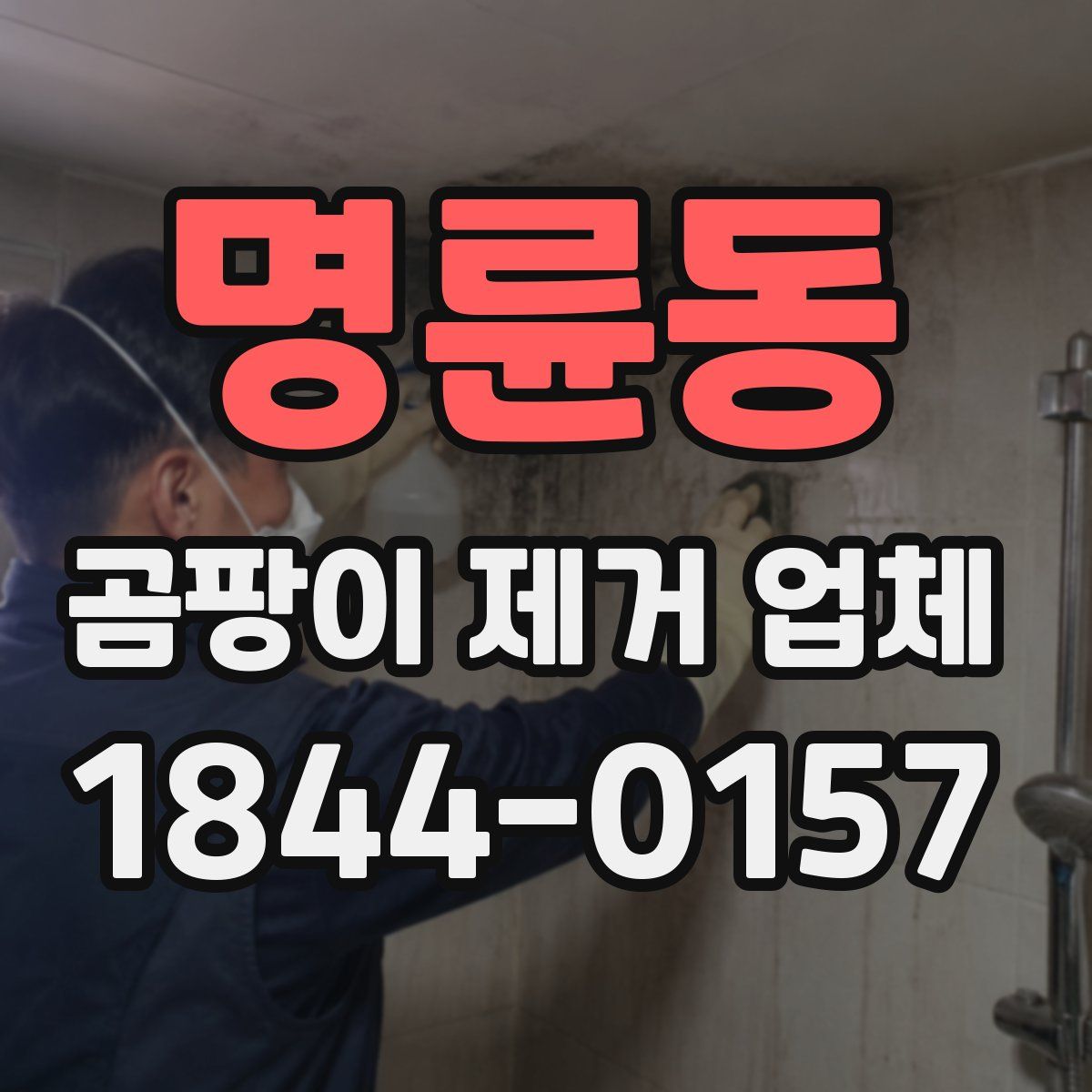 명륜동 곰팡이 제거 업체