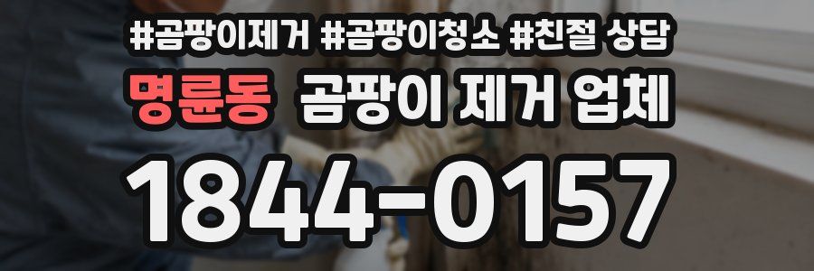 명륜동 곰팡이 제거 업체