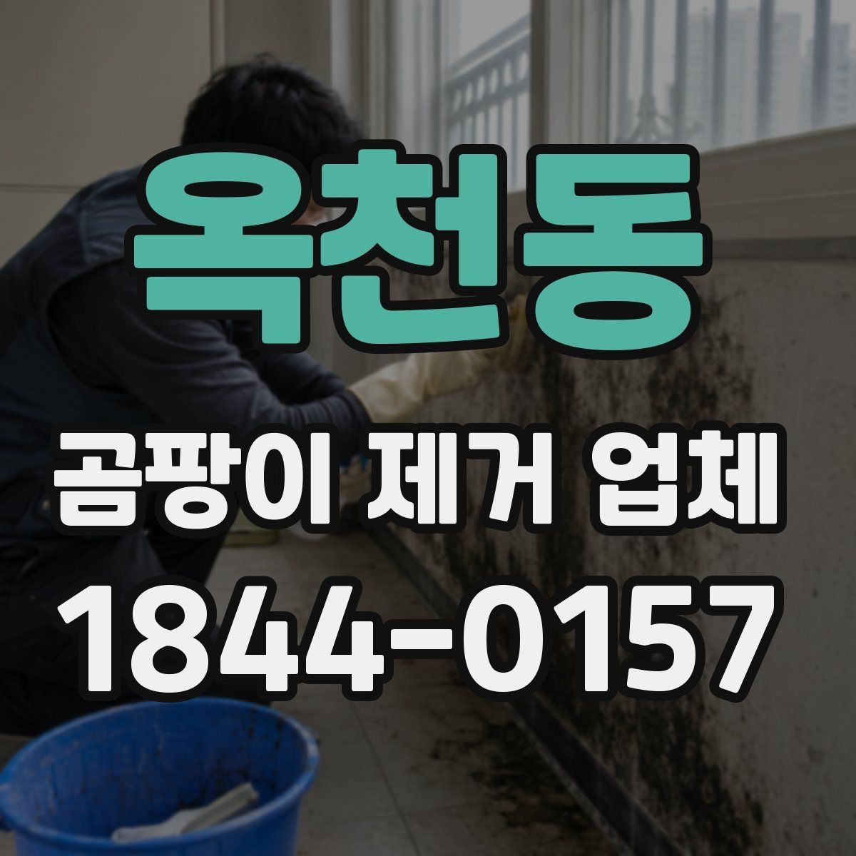 옥천동 곰팡이 제거 업체 시공 전후 비교로 보는 효과
