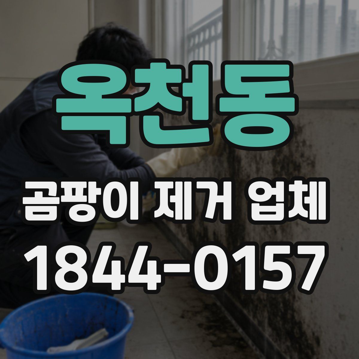 옥천동 곰팡이 제거 업체