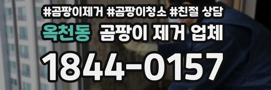 옥천동 곰팡이 제거 업체