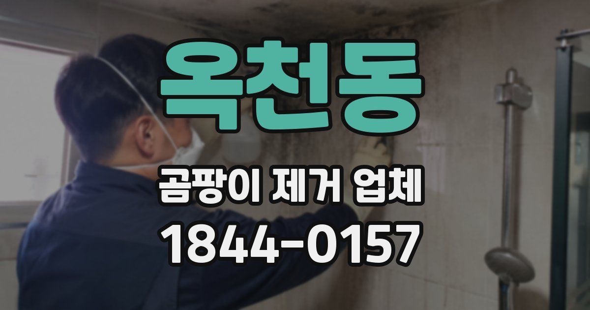 옥천동 곰팡이 제거 업체