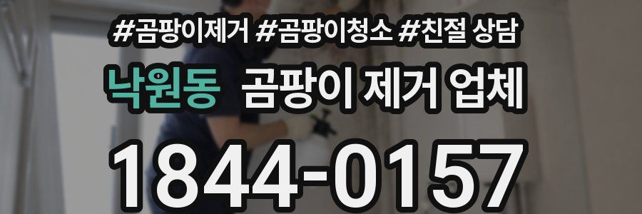 낙원동 곰팡이 제거 업체