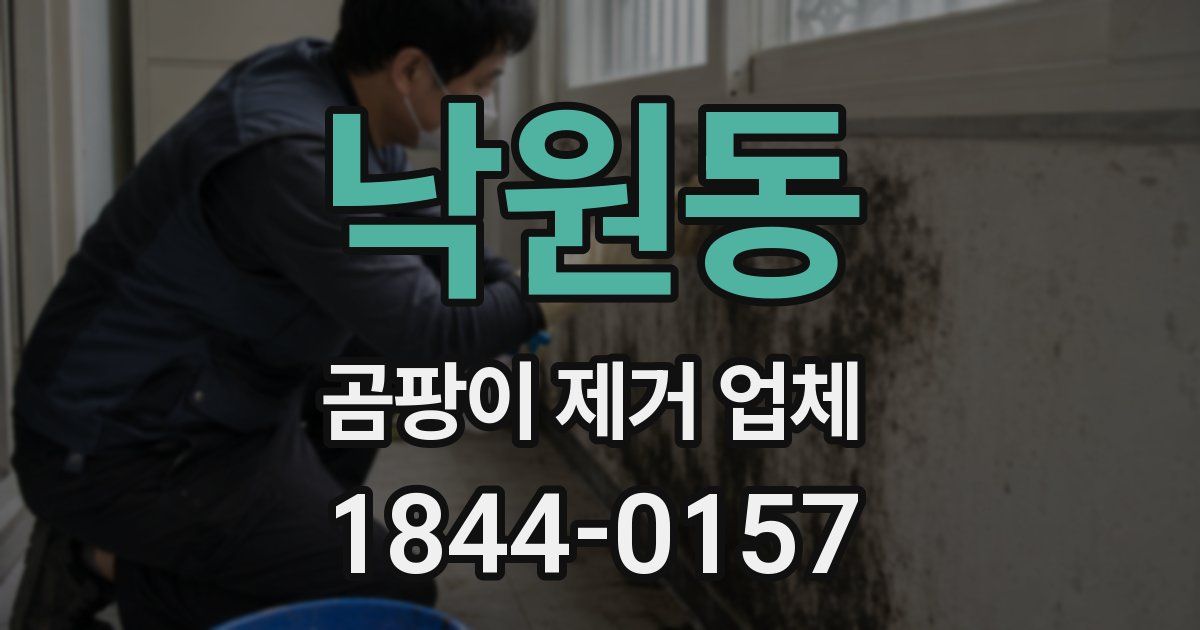 낙원동 곰팡이 제거 업체