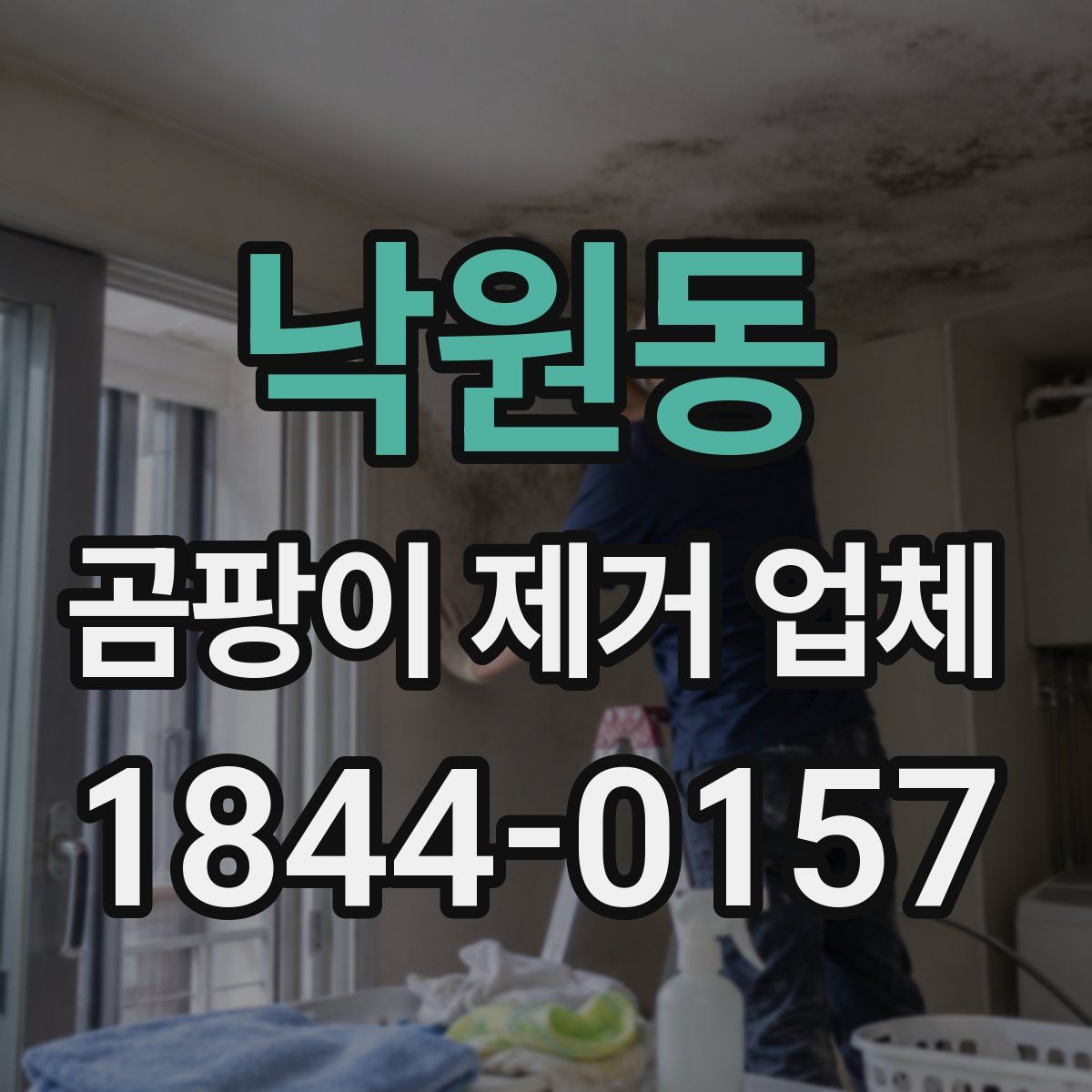 낙원동 곰팡이 제거 업체