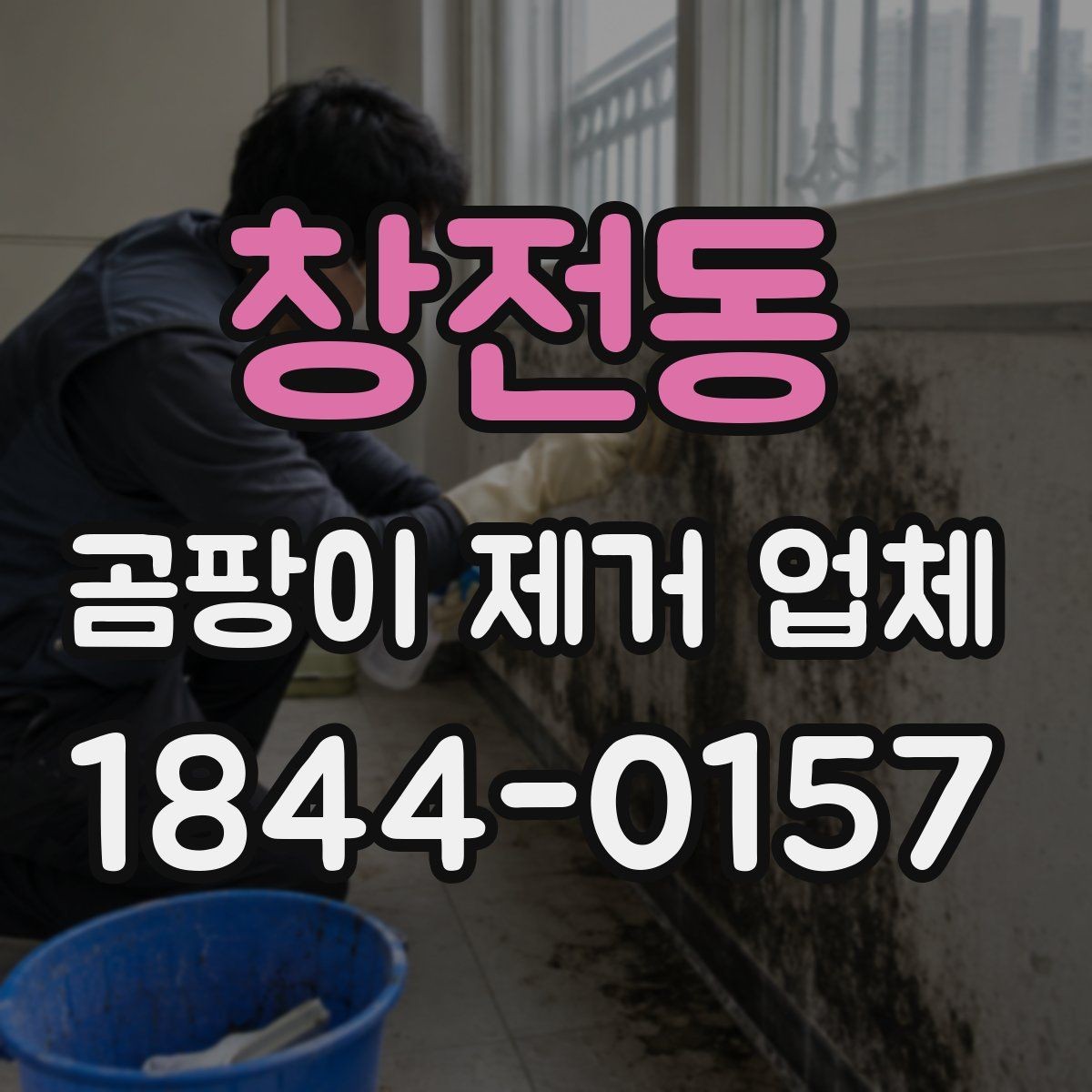 창전동 곰팡이 제거 업체 선정 시 업체 경력 확인하기